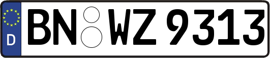 BN-WZ9313