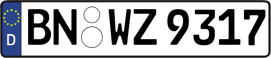 BN-WZ9317