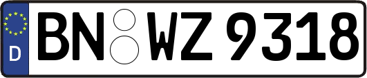 BN-WZ9318