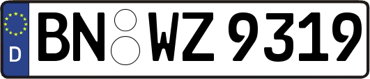 BN-WZ9319