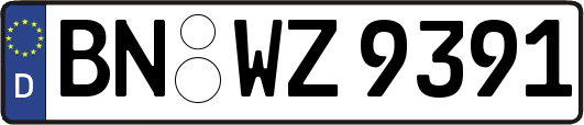 BN-WZ9391