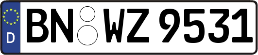 BN-WZ9531