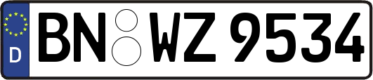 BN-WZ9534