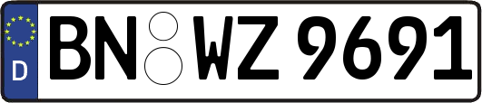 BN-WZ9691