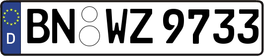 BN-WZ9733