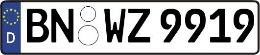 BN-WZ9919