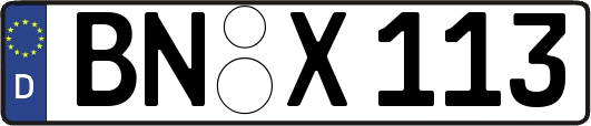 BN-X113