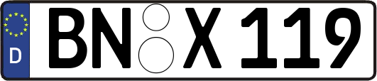 BN-X119