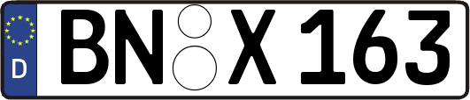 BN-X163