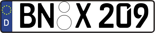 BN-X209