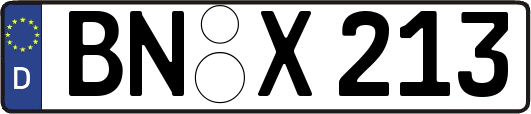 BN-X213