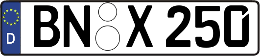 BN-X250