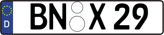 BN-X29