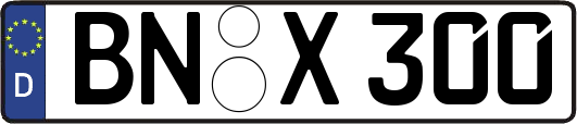 BN-X300
