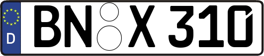BN-X310