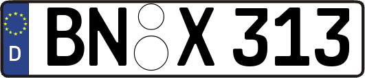 BN-X313