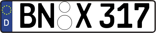 BN-X317