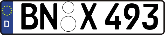 BN-X493