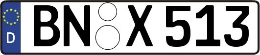 BN-X513