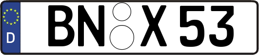 BN-X53