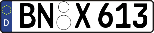 BN-X613