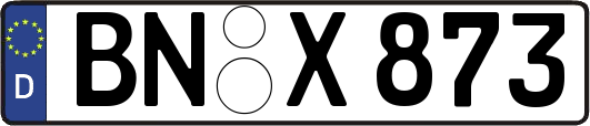 BN-X873