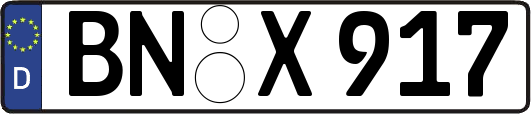 BN-X917