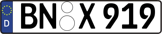 BN-X919