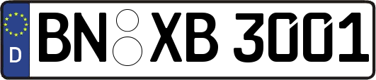 BN-XB3001