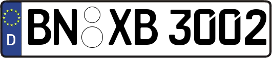 BN-XB3002