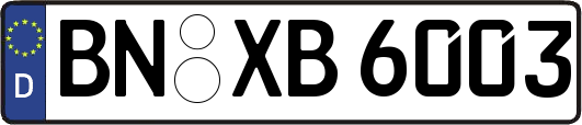 BN-XB6003