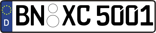 BN-XC5001