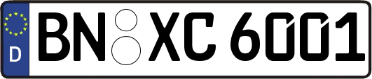 BN-XC6001