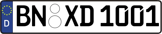 BN-XD1001