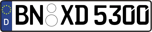 BN-XD5300