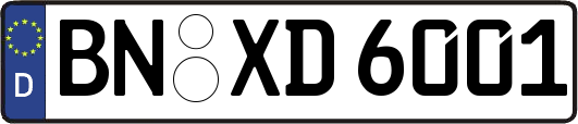 BN-XD6001