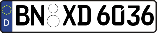 BN-XD6036