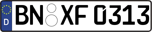 BN-XF0313