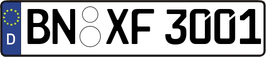 BN-XF3001