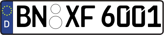 BN-XF6001