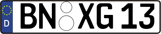 BN-XG13