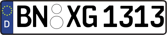 BN-XG1313