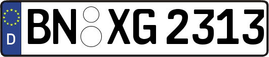 BN-XG2313