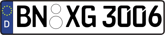 BN-XG3006