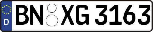 BN-XG3163
