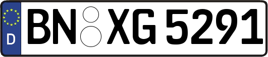 BN-XG5291