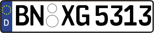 BN-XG5313