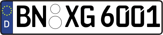 BN-XG6001