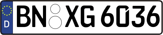 BN-XG6036