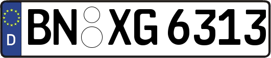 BN-XG6313